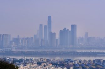 Environmental Initiatives: How Cities Fight for Clean Air