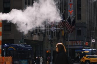 How City Air Affects Our Health: Alternative Solutions