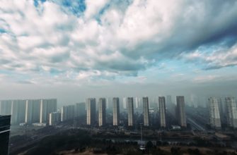 Harmony with nature: air purification in megacities