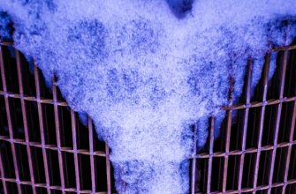 Modern methods of air purification: what to choose?