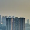 Urban jungle: how air in megacities affects the health of residents