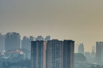 Urban jungle: how air in megacities affects the health of residents