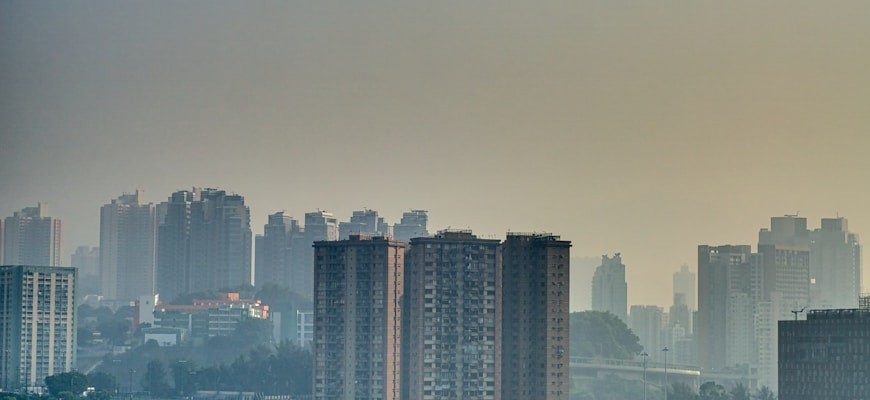 Urban jungle: how air in megacities affects the health of residents