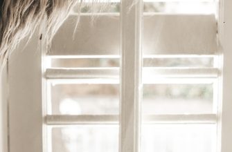 Indoor Air Purification: How to Choose the Best Solution? Indoor Air Purification: How to Choose the Best Solution?