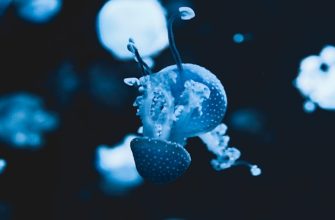 Будущее очистки воздуха: инновационные подходы и технологии