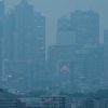 Природные решения для улучшения качества воздуха в городах